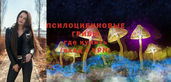 дурь Горнозаводск