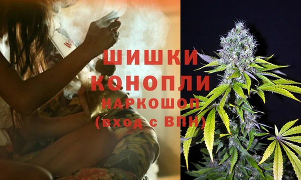 гидропоника Горняк