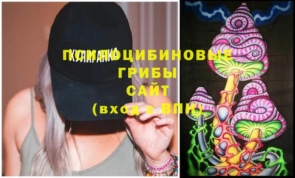 гидропоника Горняк