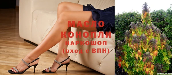 гидропоника Горняк