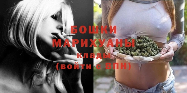 гидропоника Горняк