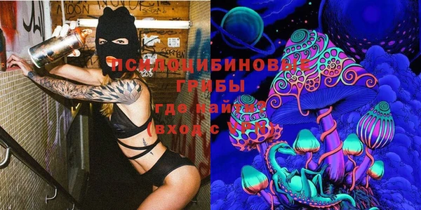 прущие крисы Горно-Алтайск